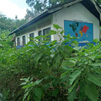 Our School Photos 2023 (PTS Class Room)