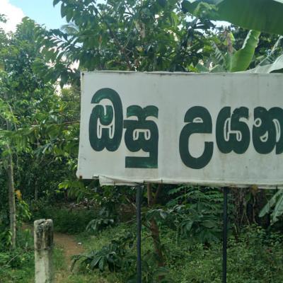 Our School Photos 2023(herb garden)