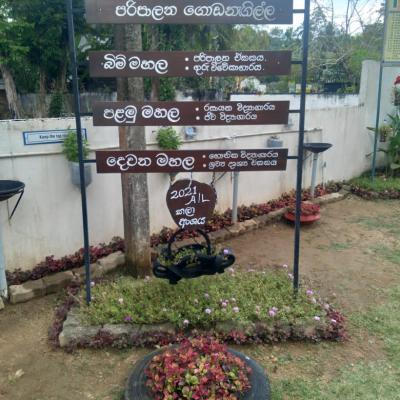 Our School Photos 2023